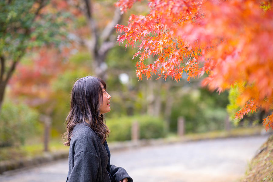 Young woman looking at orange autumn leaves in public park Photograph by Satoshi-K