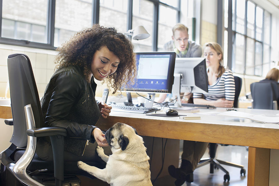 Young woman petting dog at office desk Photograph by Frank van Delft