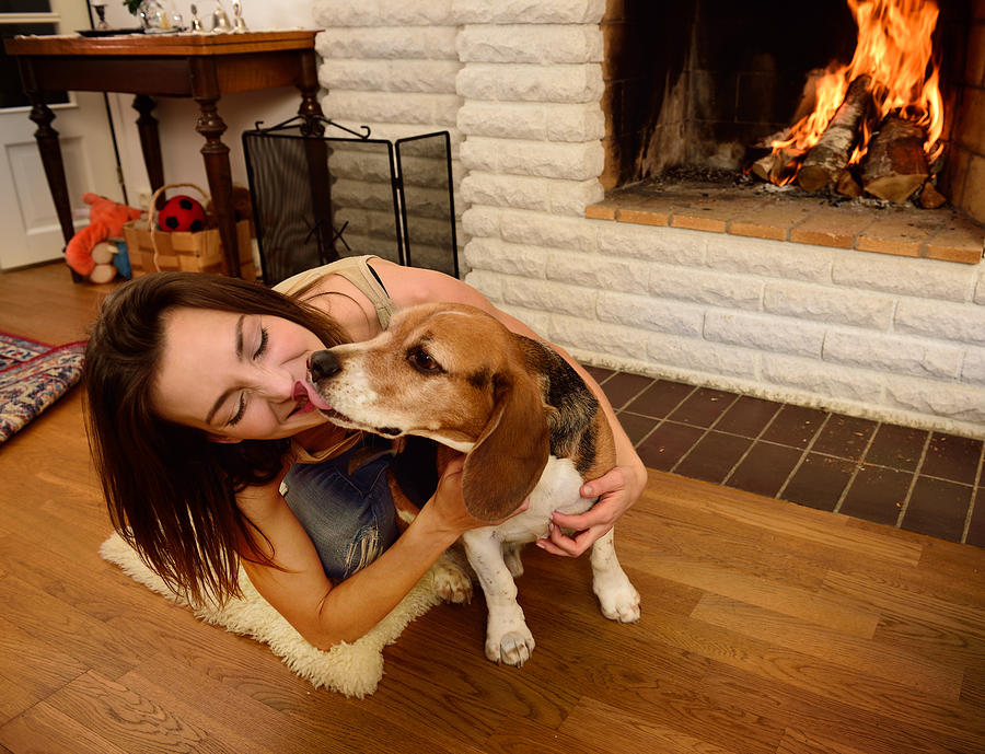 Young woman playing with beagle dog, fireplace Photograph by Olaser