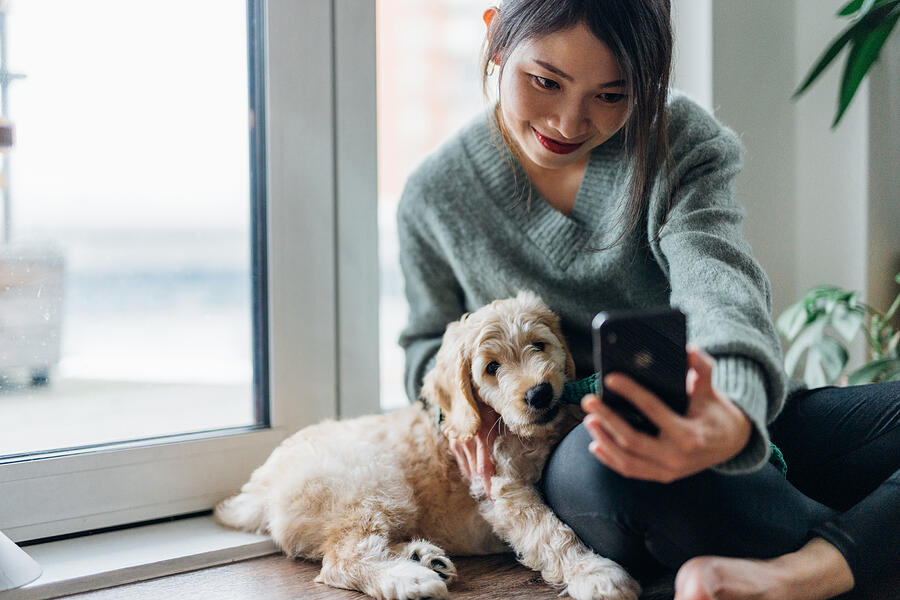 Young Woman Taking Selfie With Smartphone With Her Dog At Home Photograph by Oscar Wong