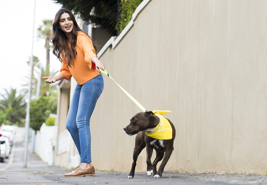 Young woman walking a dog Photograph by UntitledImages