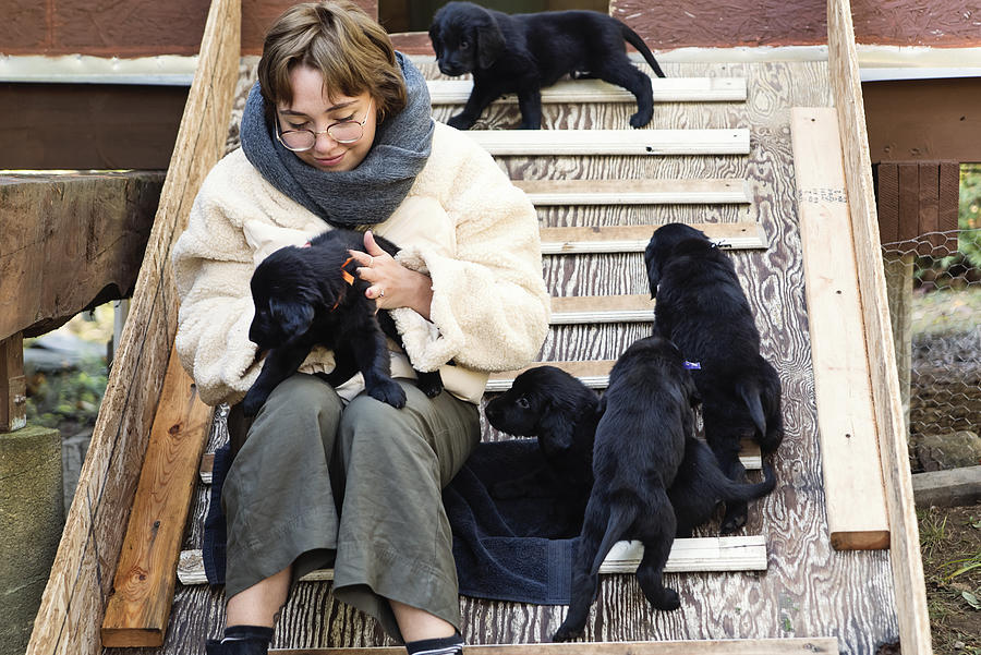 Young woman with purebred flat-coated retriever puppy litter. Photograph by Martinedoucet