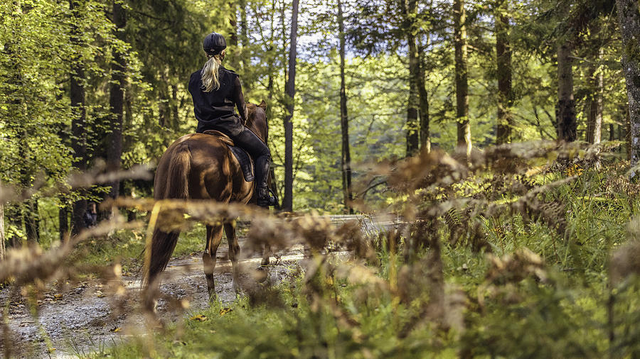 Young women enjoying horseback riding in nature Photograph by Vm