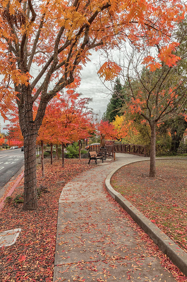 Yountville In Autumn Photograph by Jonathan Nguyen