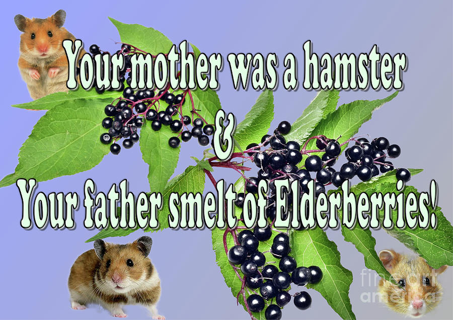 Your mother was a hamster....... Digital Art by Pics By Tony