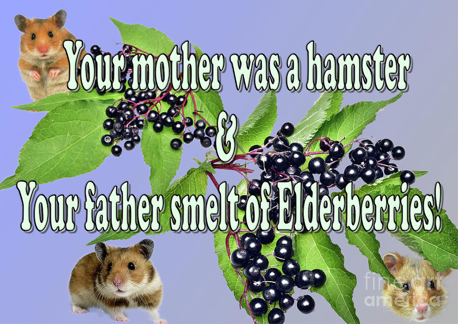 How Soon Can You Take a Hamster From Its Mother?