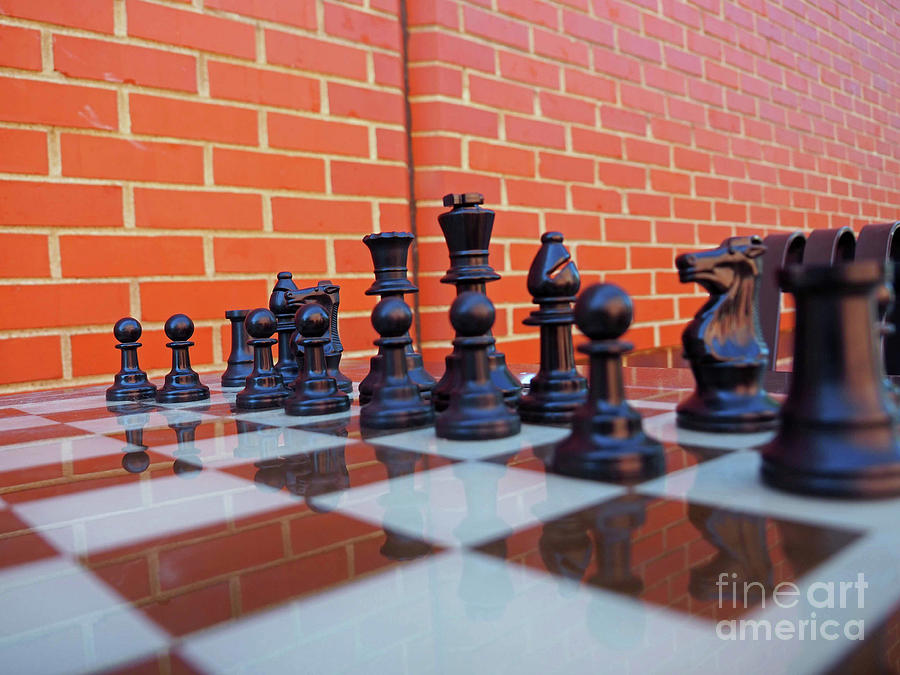 Your Move Photograph by Ginger Repke