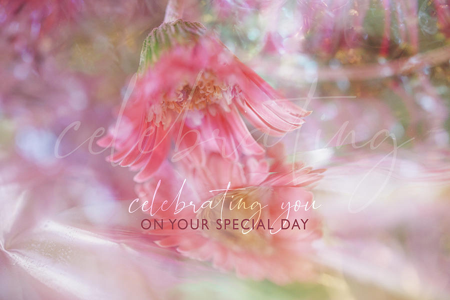 Your Special Day Digital Art by Terry Davis