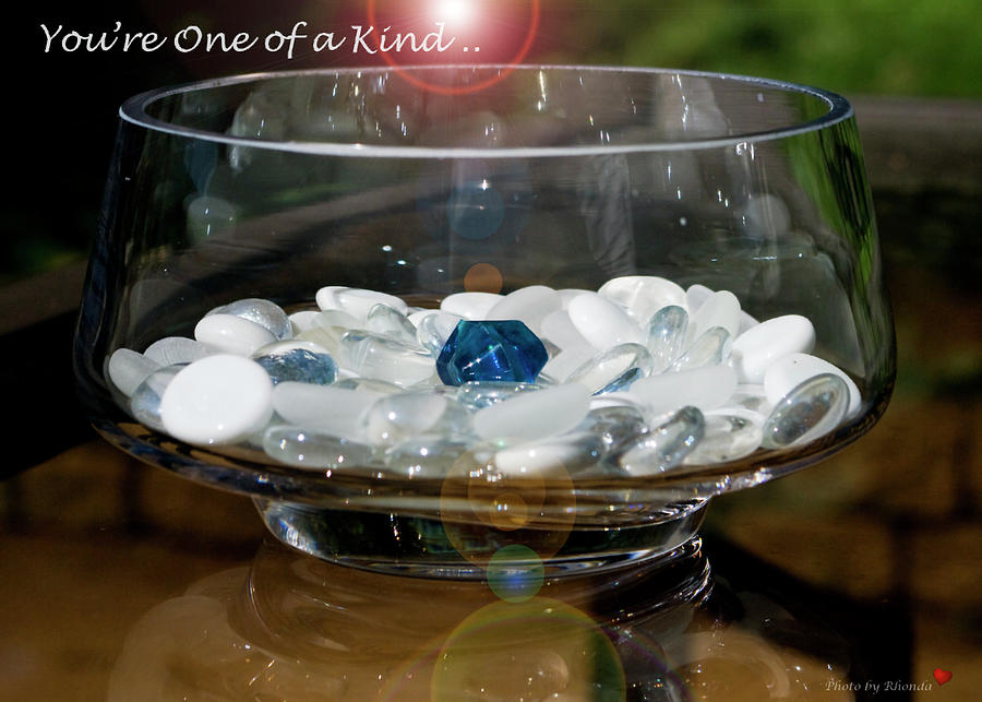 Youre One of a Kind Photograph by Rhonda McDougall