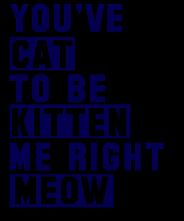 Youve Cat To Be Kitten Me Right Meow Digital Art by Jacob Zelazny ...