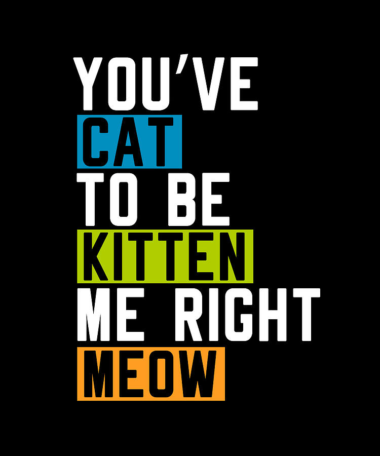 Youve Cat To Be Kitten Me Right Meow Digital Art by Steven Zimmer ...