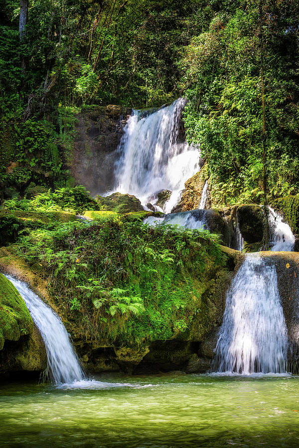 YS waterfalls in Jamaica Photograph by Mihai Andritoiu