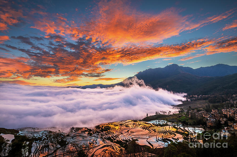 Yuanyang Sunrise Photograph by Inge Johnsson