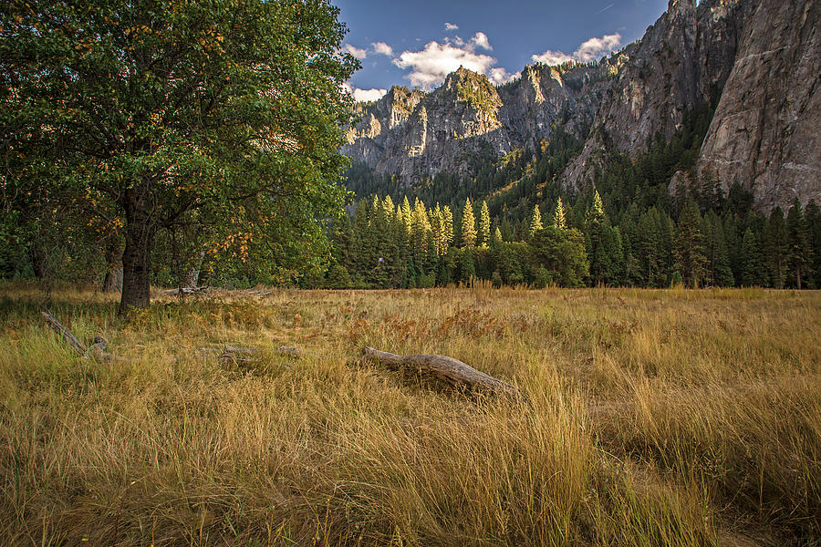 Yosemite Valley Meadow Photograph by Rick Strobaugh