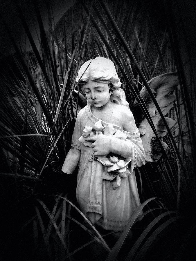 Yucca Angel Photograph