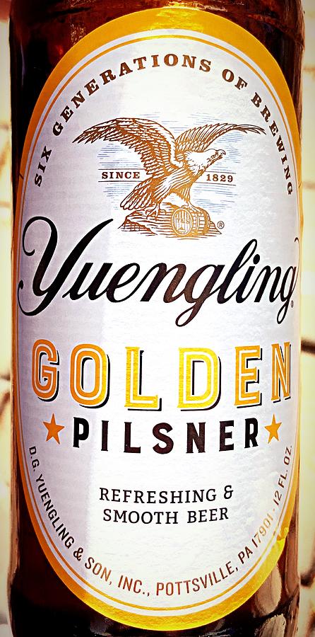 https://images.fineartamerica.com/images/artworkimages/mediumlarge/3/yuengling-golden-pilsner-kacie-donnelly.jpg