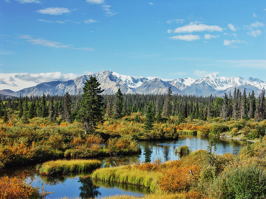 Yukon , Canada Photograph by Brytta Yukon , Canada Photograph by Brytta