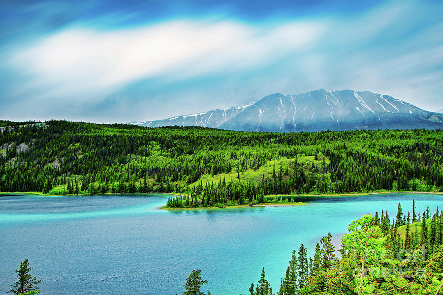 Yukon Emerald Lake Landscape Photograph by Charline Xia