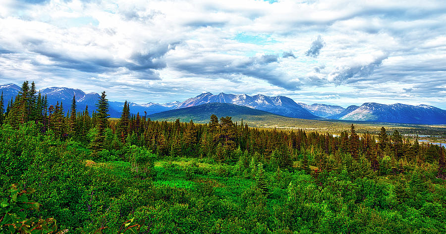 Yukon Landscape Photograph by Robert Libby