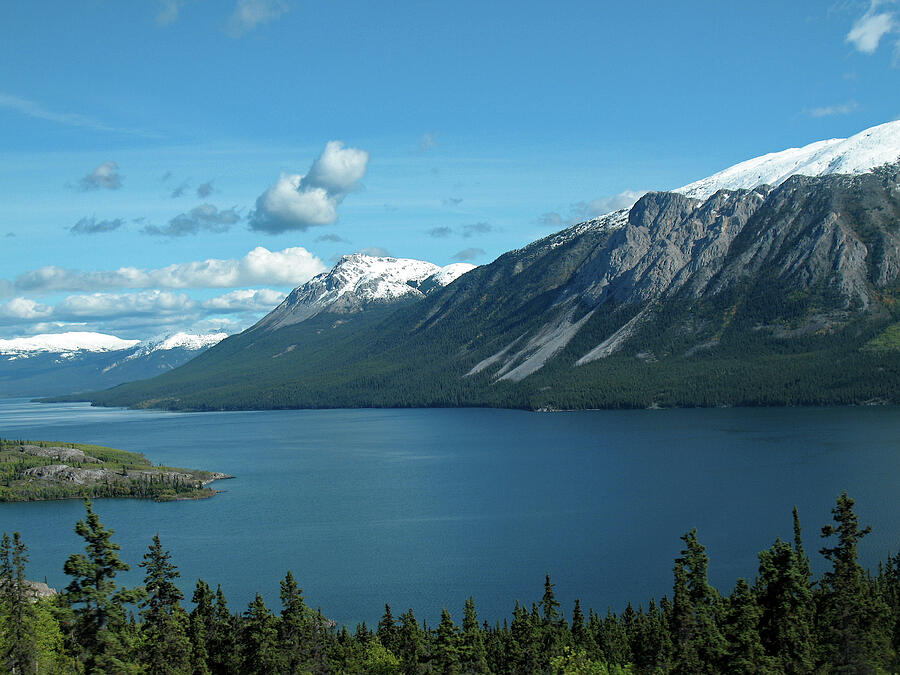 Yukon Majesty Photograph
