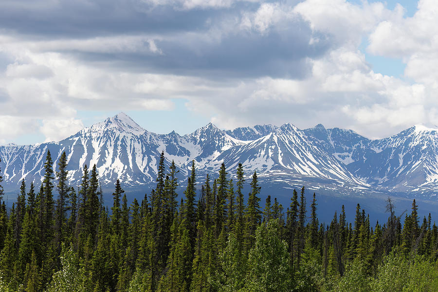 Yukon Mountain Range Photograph by Belinda Greb