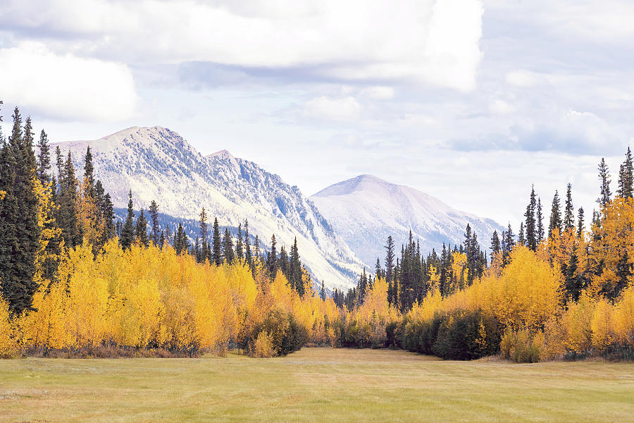 Yukon Mountains on a Golden Fall Day Photograph by Shannon Williams ...