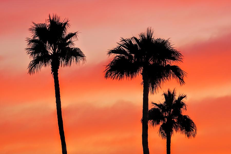 Yuma Sunset Photograph by Brett Harvey