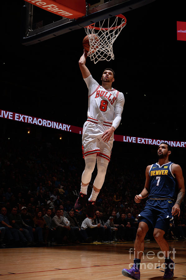 Zach Lavine Photograph by Bart Young