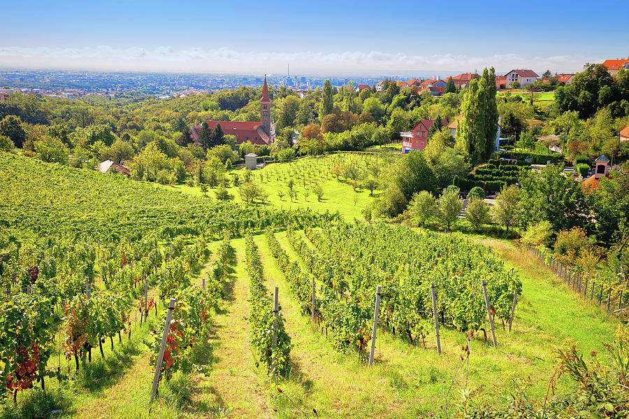 Zagreb green zone. Church and vineyard on green hill above croat Photograph by Brch Photography