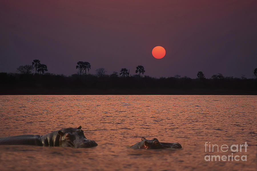 Zambezi River, Victoria Falls, Zimbabwe, Africa Photograph by Don Schimmel