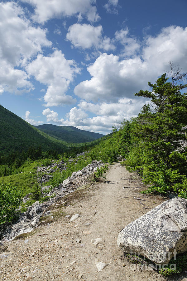 Zealand Notch - White Mountains New Hampshire USA Photograph by Erin Paul Donovan