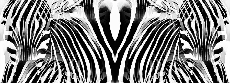 Zebra Abstract in Black and White  Digital Art by Shelli Fitzpatrick