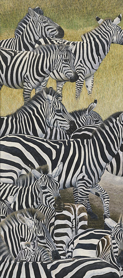 Zebra crossing II Painting by Russell Hinckley
