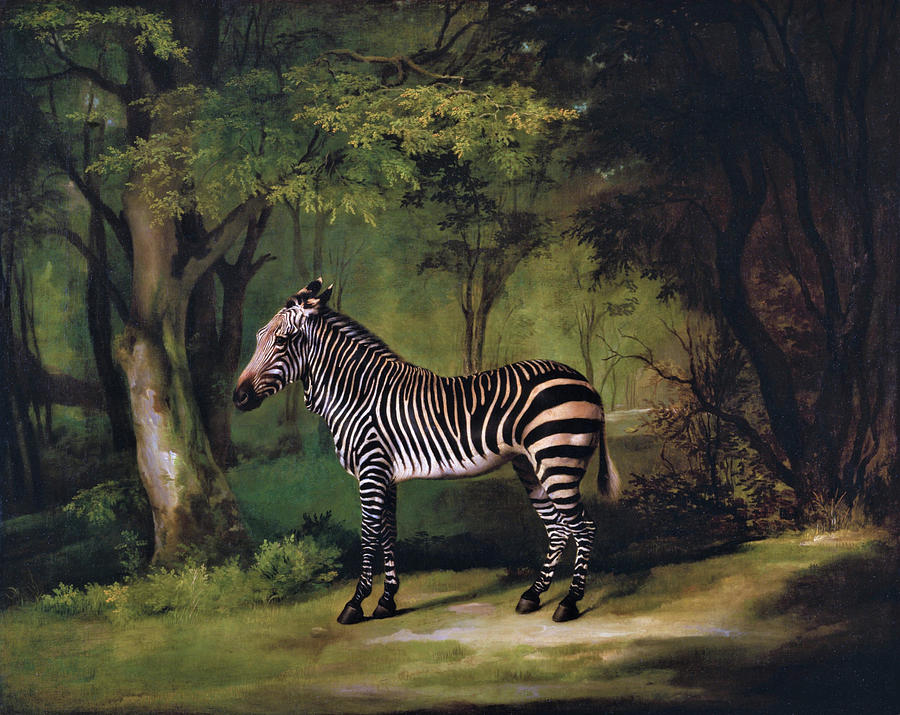 George Stubbs Painting - Zebra - Digital Remastered Edition by George Stubbs