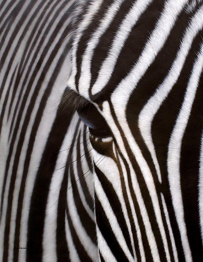 Zebra Eye Painting by Rachel Stribbling