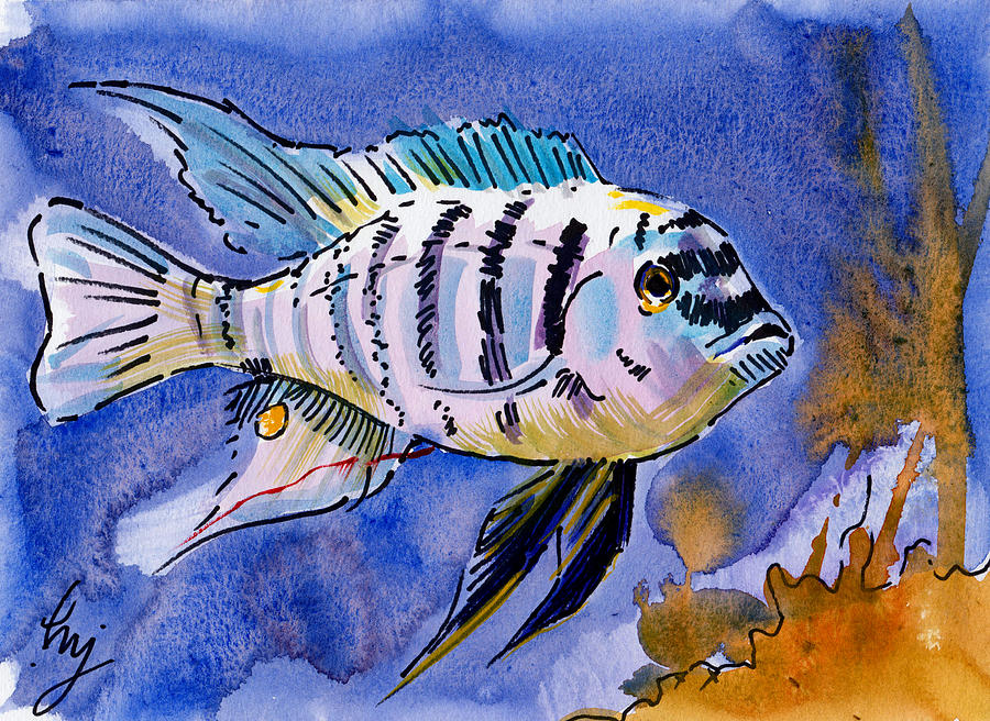 Zebra fish watercolor painting Painting by Mike Jory