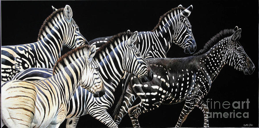 Zebra Humor Drawing by Cynthie Fisher