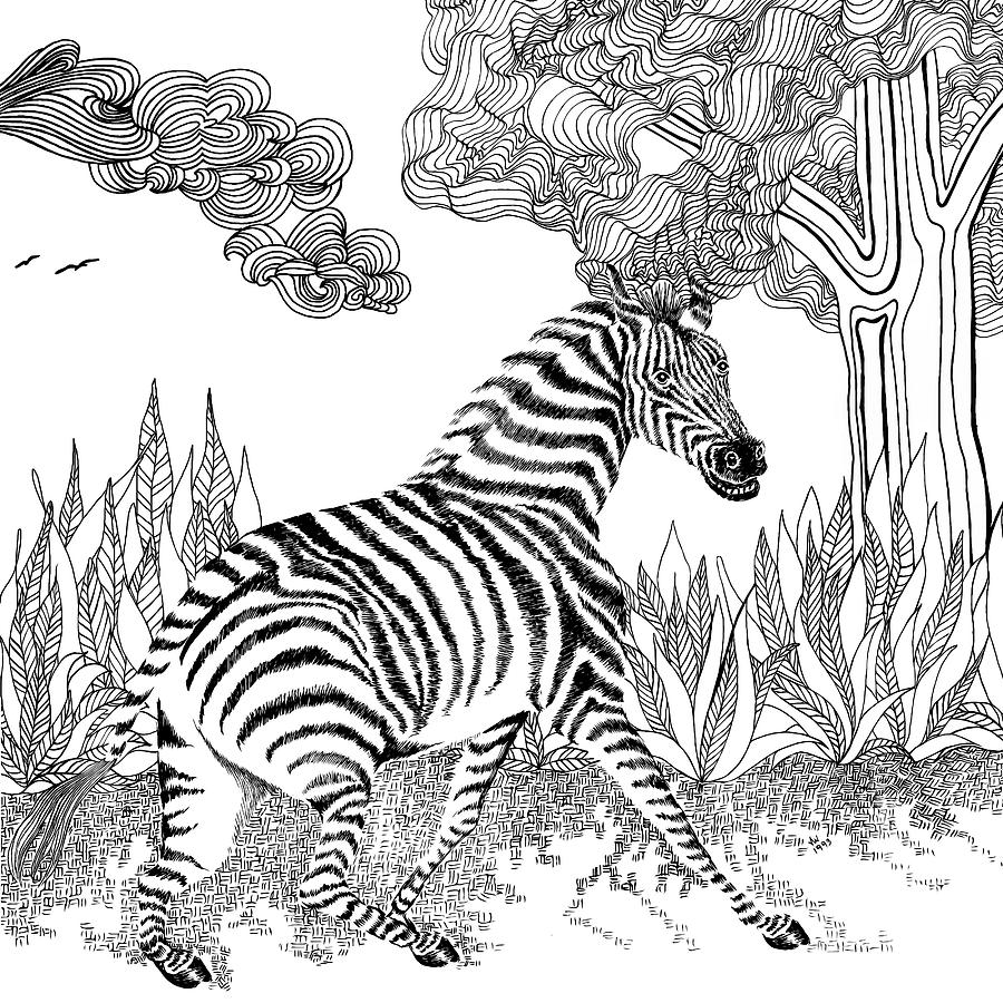 Zebra Drawing by Jennifer Wheatley Wolf