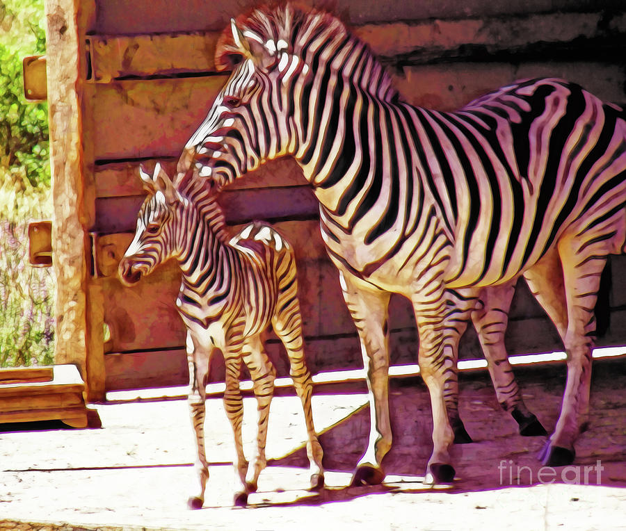 Animal Photograph - Zebra Mom and Baby by Two Hivelys