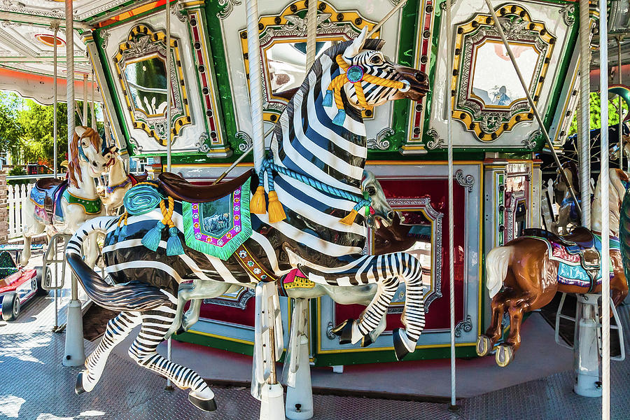 Zebra On A Carousel Photograph