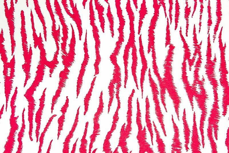 Zebra painted in red and white Mixed Media by The BRAYNEN Brand - Fine ...