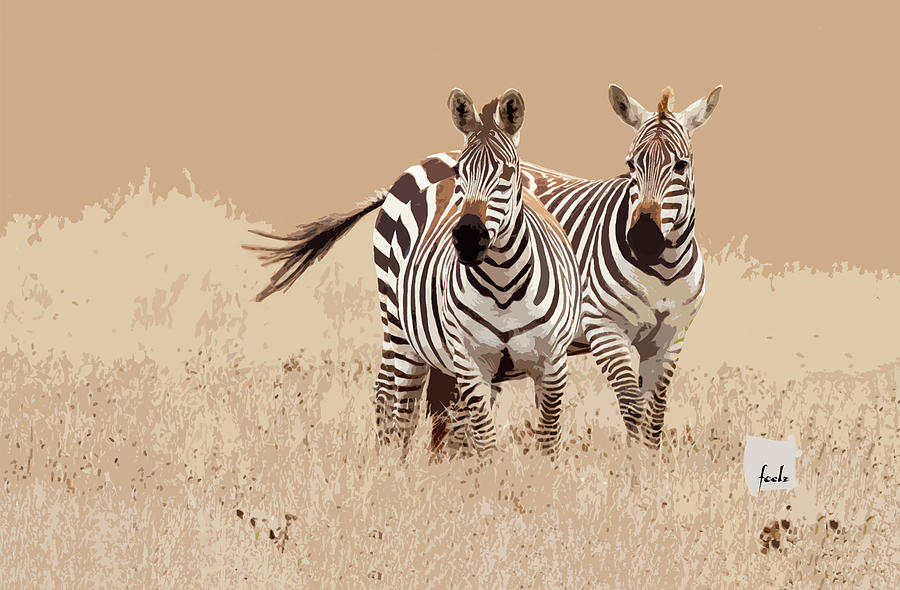 Zebra Digital Art - Zebra Pair by Sharon Foelz