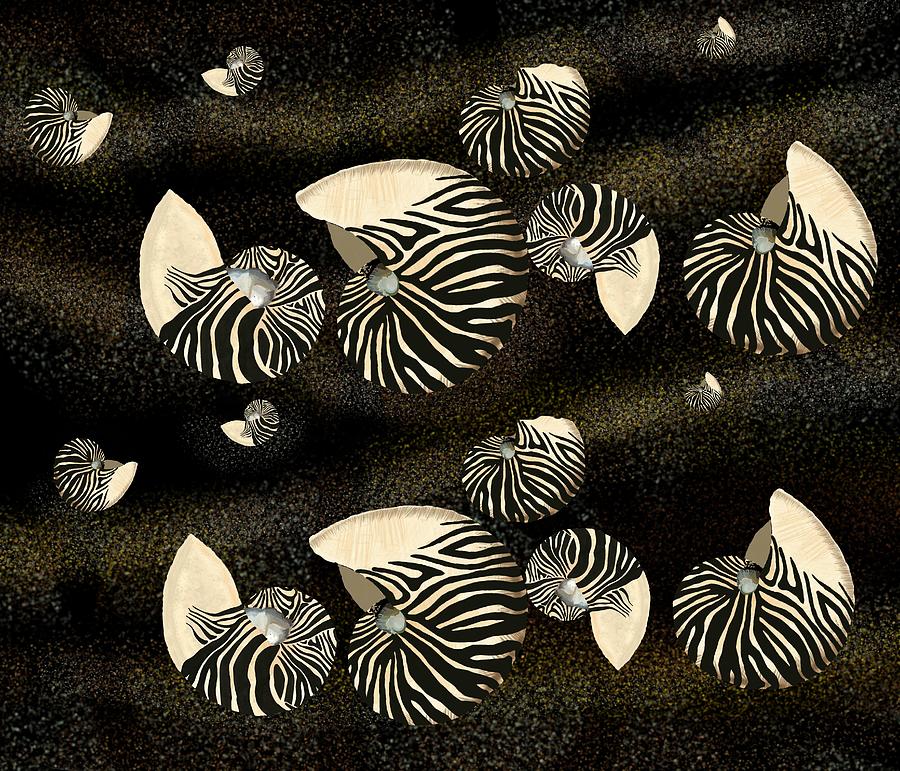 Zebra Pattern Nautilus Seashells Collection Drawing by Joan Stratton