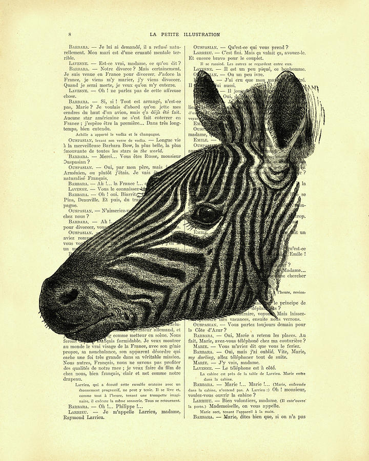 Wildlife Mixed Media - Zebra portrait by Madame Memento