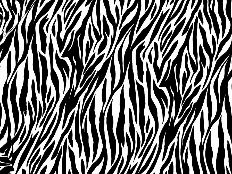 Zebra print texture animals lovers Digital Art by Hamid Bouamrane