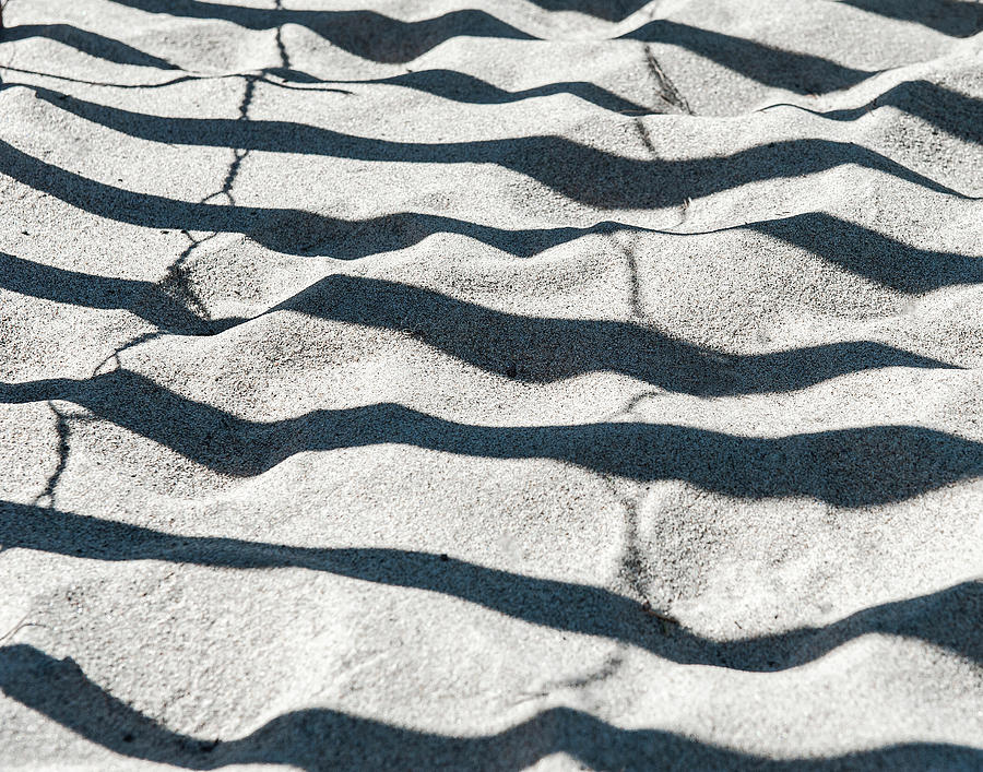 Zebra Sand 2 Photograph by Kathleen Hoevet