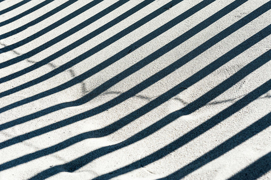 Zebra Sand  Photograph by Kathleen Hoevet