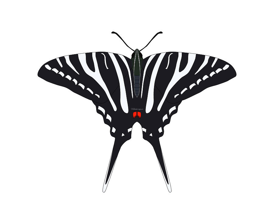 Zebra Swallowtail Digital Art by Teresamarie Yawn