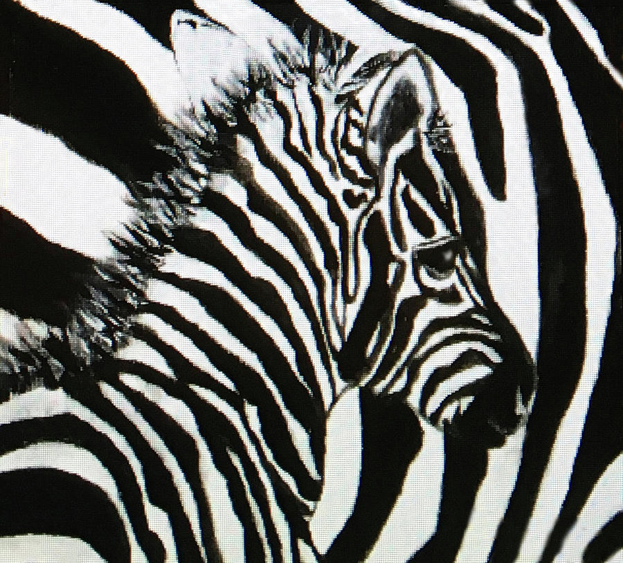 Zebra Painting by Tammy Pool