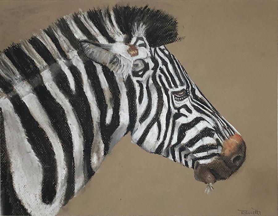 Zebra Pastel by Teresa Smith